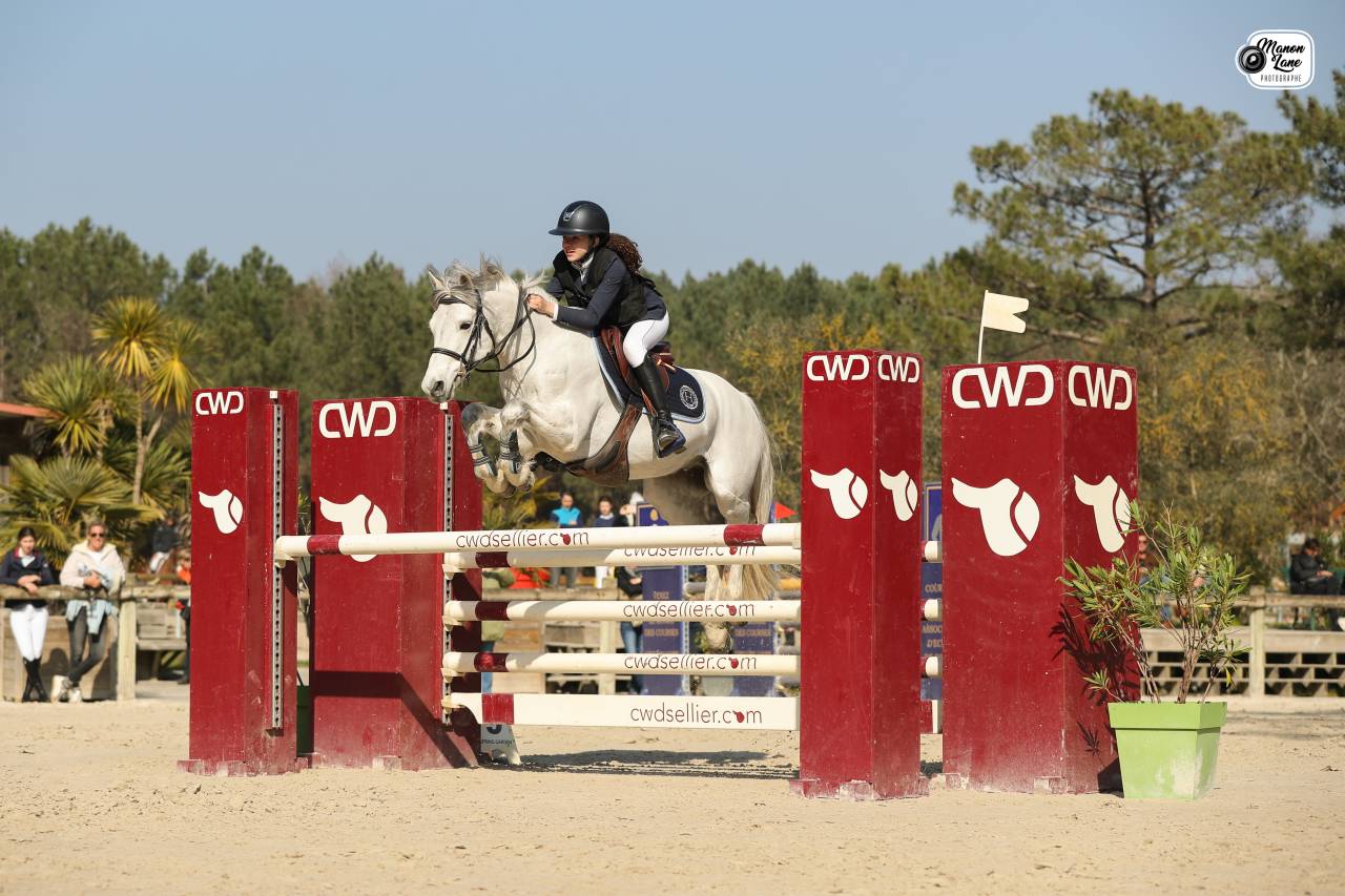 Poney Maitre d'école a Vendre 