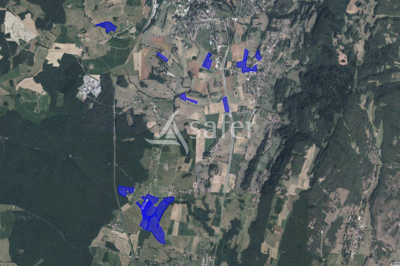 EXPLOITATION LAIT AOP Comté