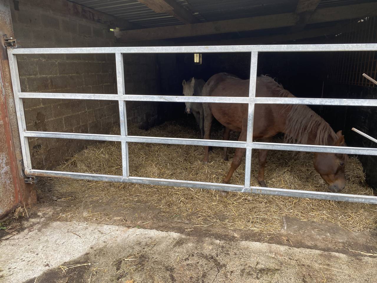 Stalle 8 X 5m à louer 4350 Remicourt 