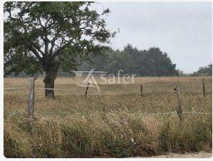 Proprieté équestre