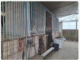 Proprieté équestre