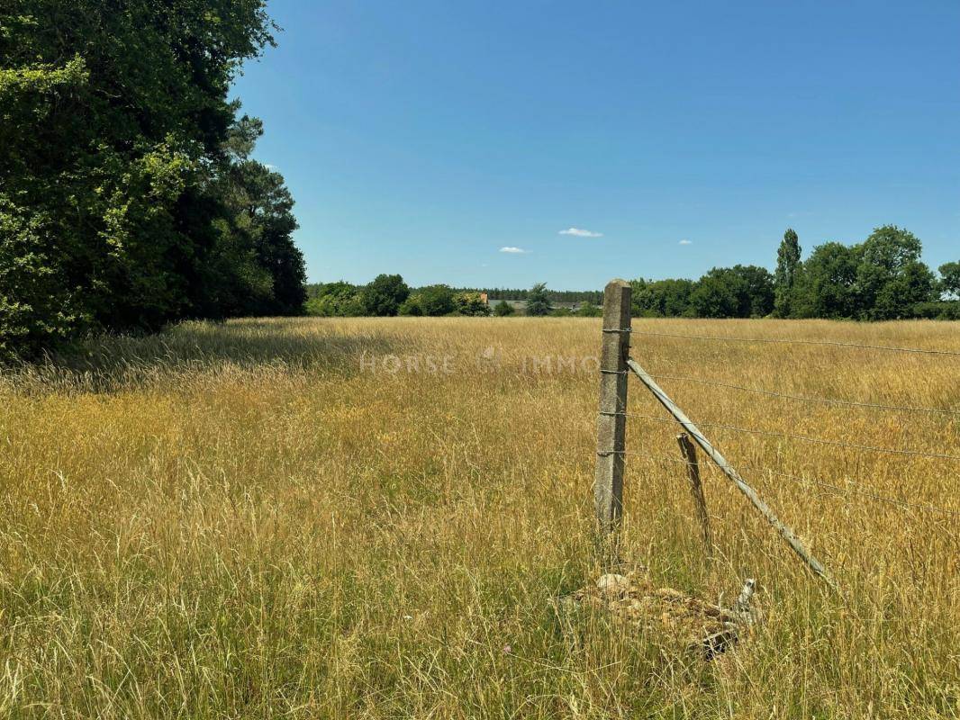 Haras de 22 hectares au nord de Saumur
