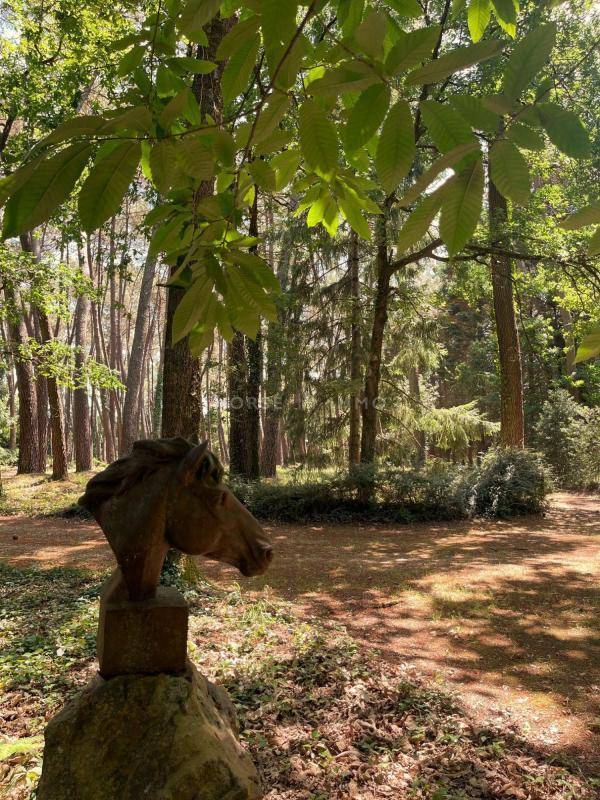 Haras de 22 hectares au nord de Saumur