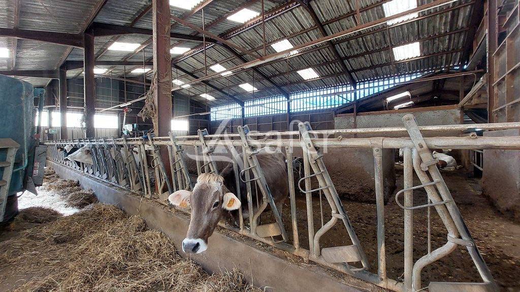 Propri&eacute;t&eacute; b&acirc;tie d'environ 22 ha pouvant convenir &agrave; divers pr