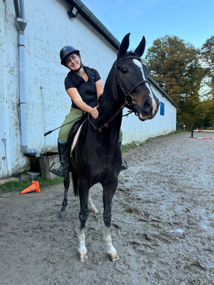 Kenzo - hongre - 5ans 