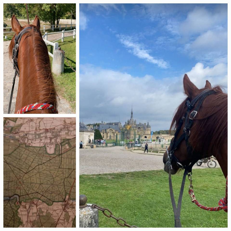 A cheval en forêt de Chantilly-Ermenonville