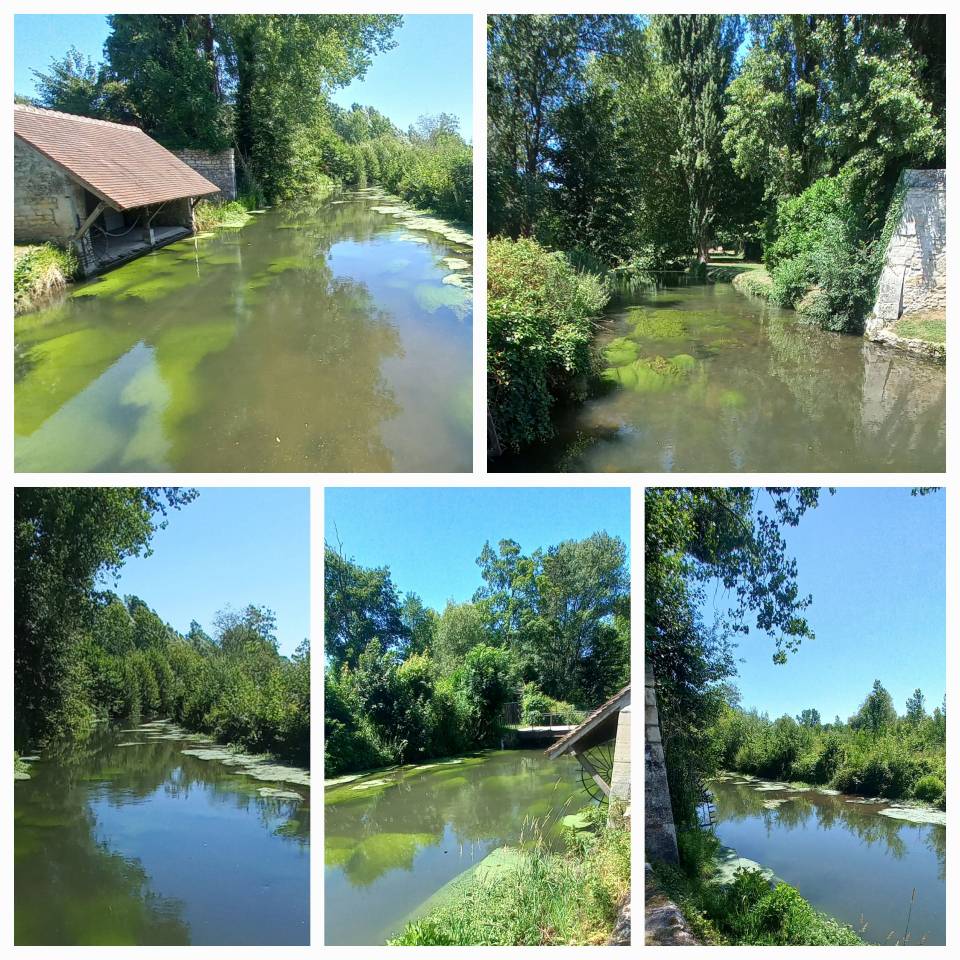 A cheval en forêt de Chantilly-Ermenonville
