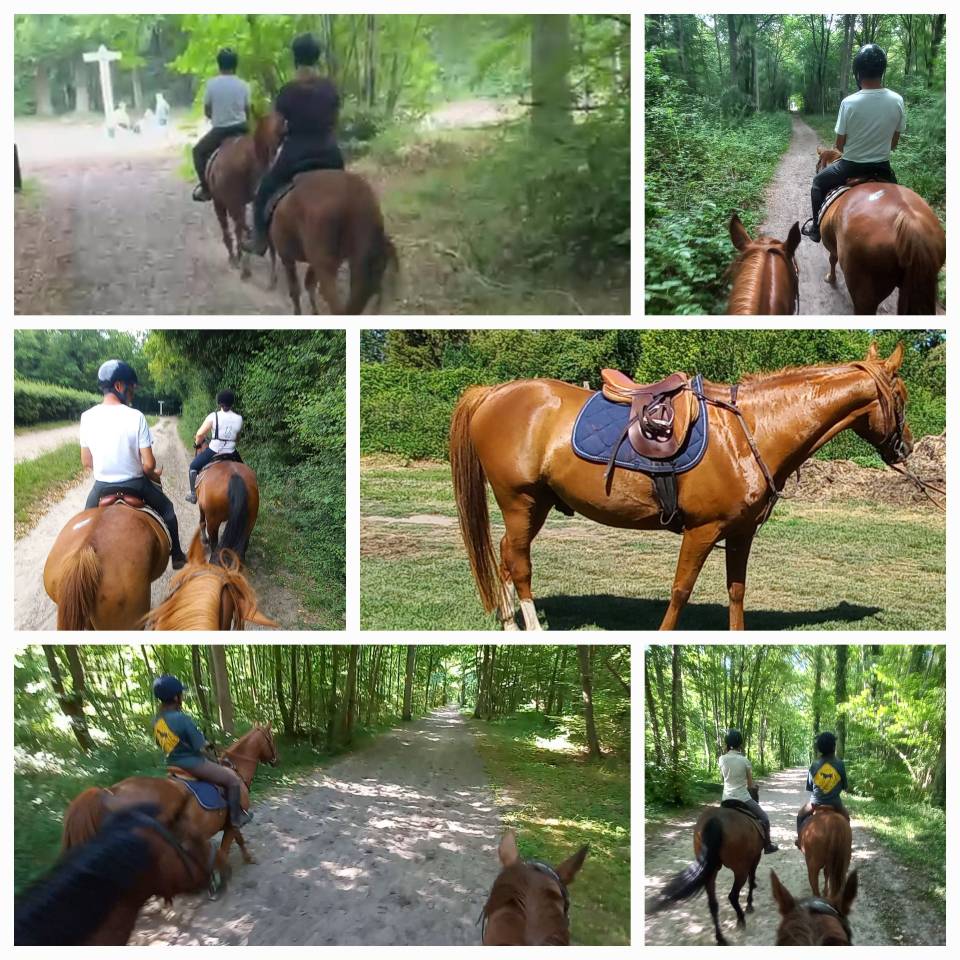A cheval en forêt de Chantilly-Ermenonville