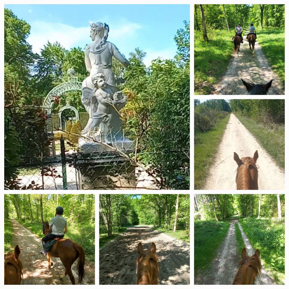 A cheval en forêt de Chantilly-Ermenonville
