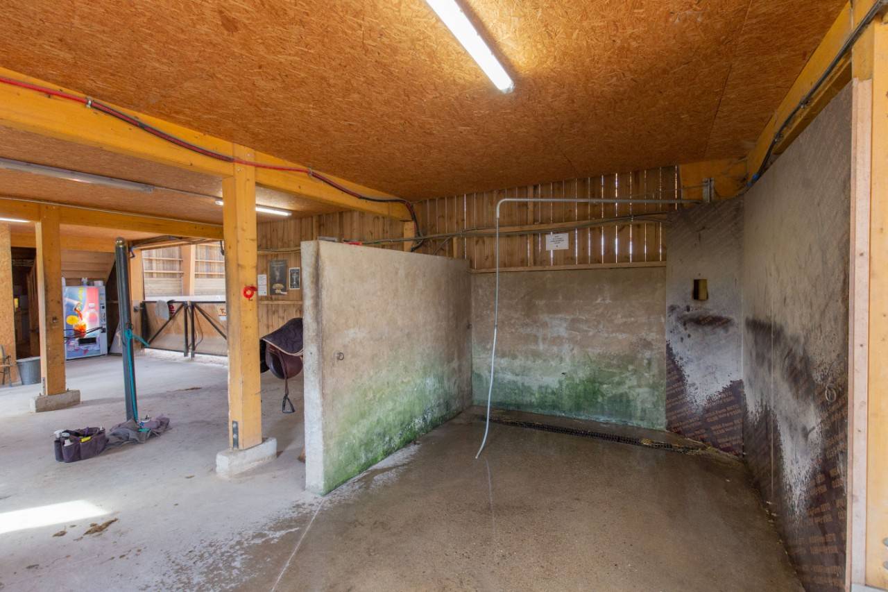 ESCURIE DE SPORT EN ACTIVITE - AUX PORTES DE LYONS - 