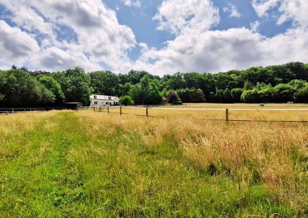 Proche Sillé-Le-Guillaume