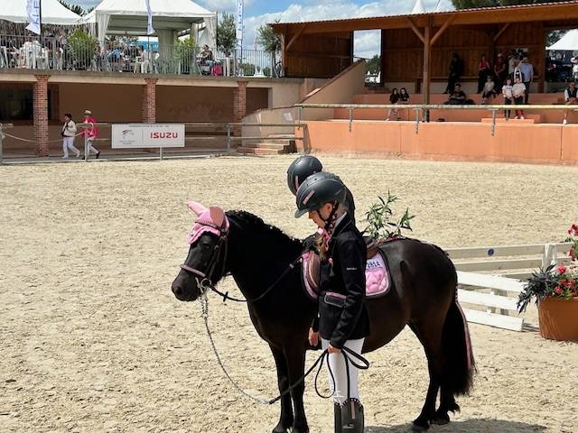 Vends jolie Shetland 7 ans polyvalente