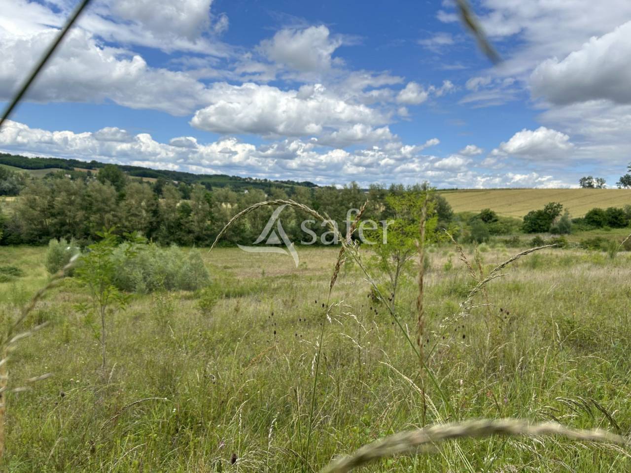 Propriété agricole sur 13ha