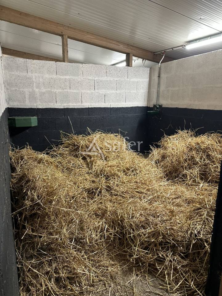 Maison avec logement indépendant et 10 ha de prairies clôturé