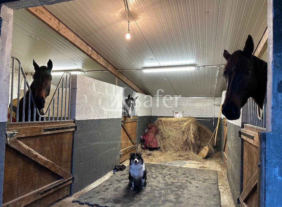 Maison avec logement indépendant et 10 ha de prairies clôturé