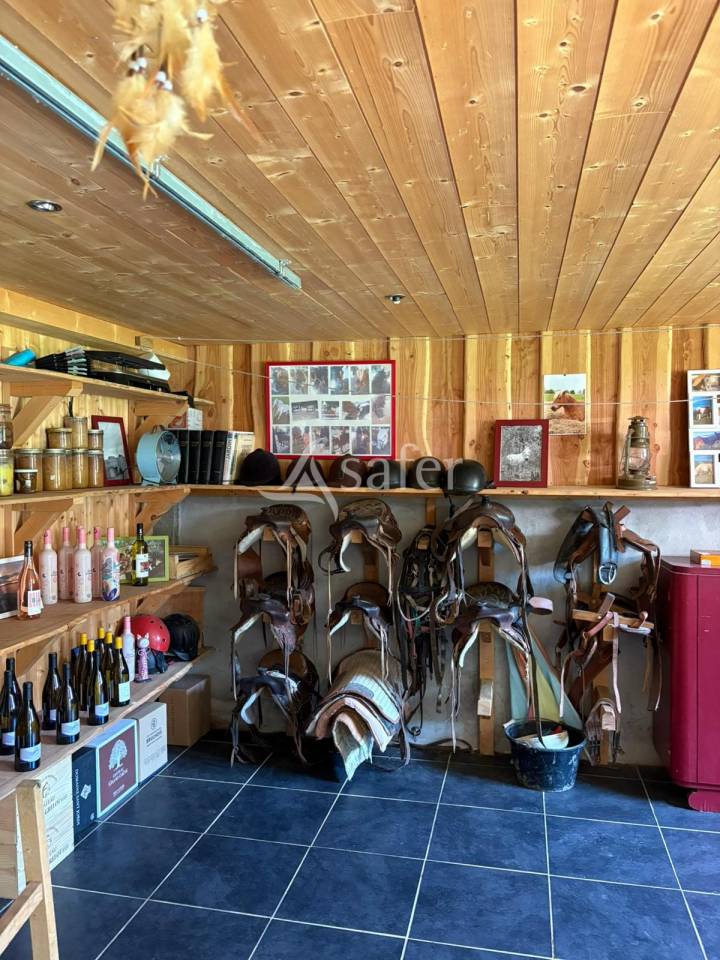Camping &agrave; la ferme sur 8ha et ferme p&eacute;dagogique