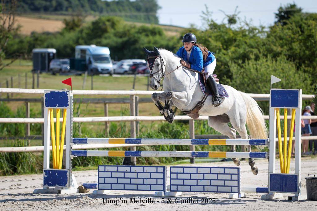 Jument , 7 ans, gris , taille   1.65