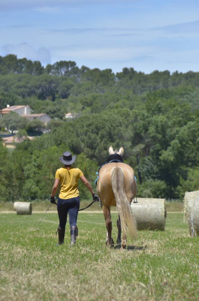 Studio de Charme pour cavaliers, dans Merveilleux Haras