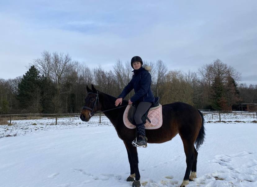 Belle ponette baie à vendre