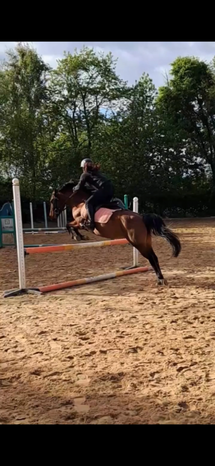 Ponette C origine constatée CSO 