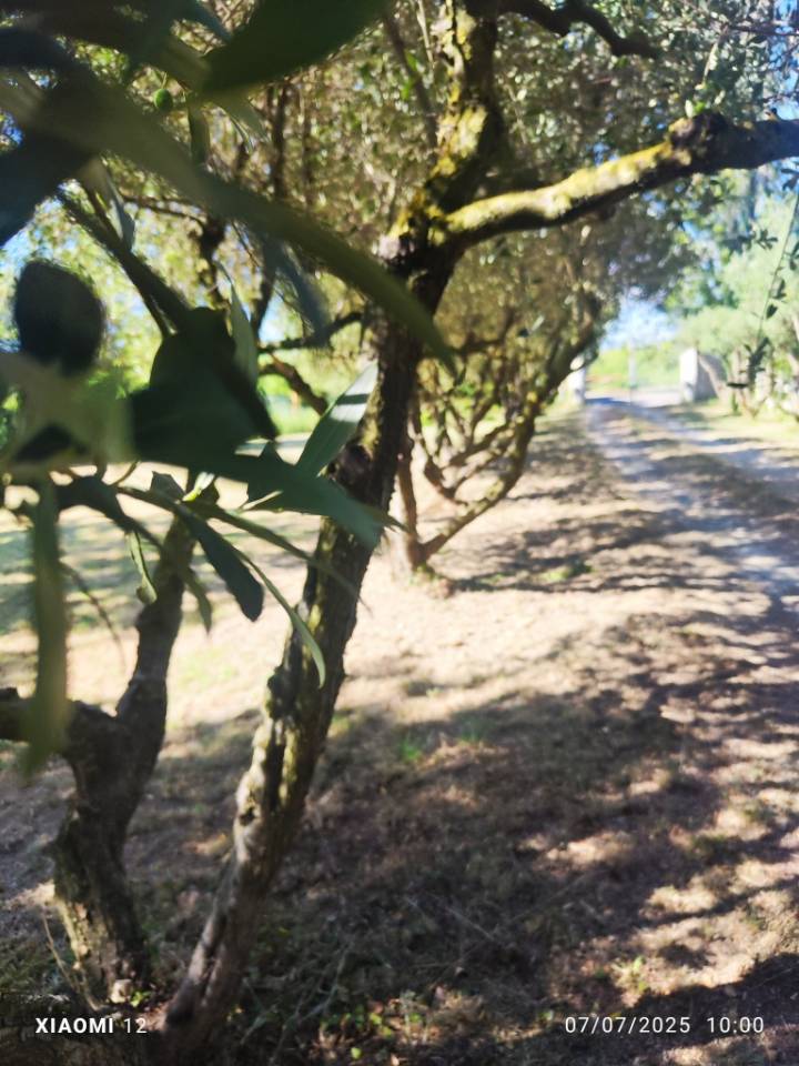 30 - BEAUCAIRE  BELLE  PROPRIETE EQUESTRE - 290 m² - 