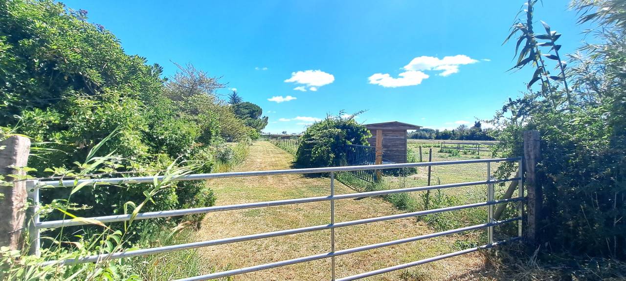 30 - BEAUCAIRE  BELLE  PROPRIETE EQUESTRE - 290 m² - 