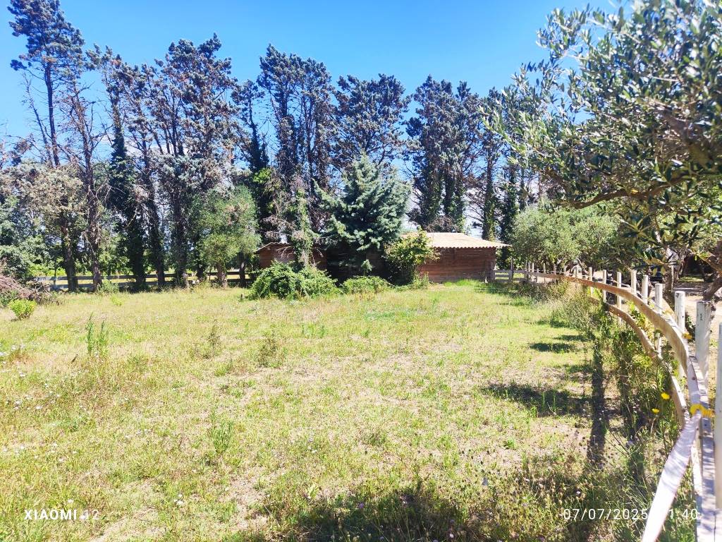 30 - BEAUCAIRE  BELLE  PROPRIETE EQUESTRE - 290 m² - 