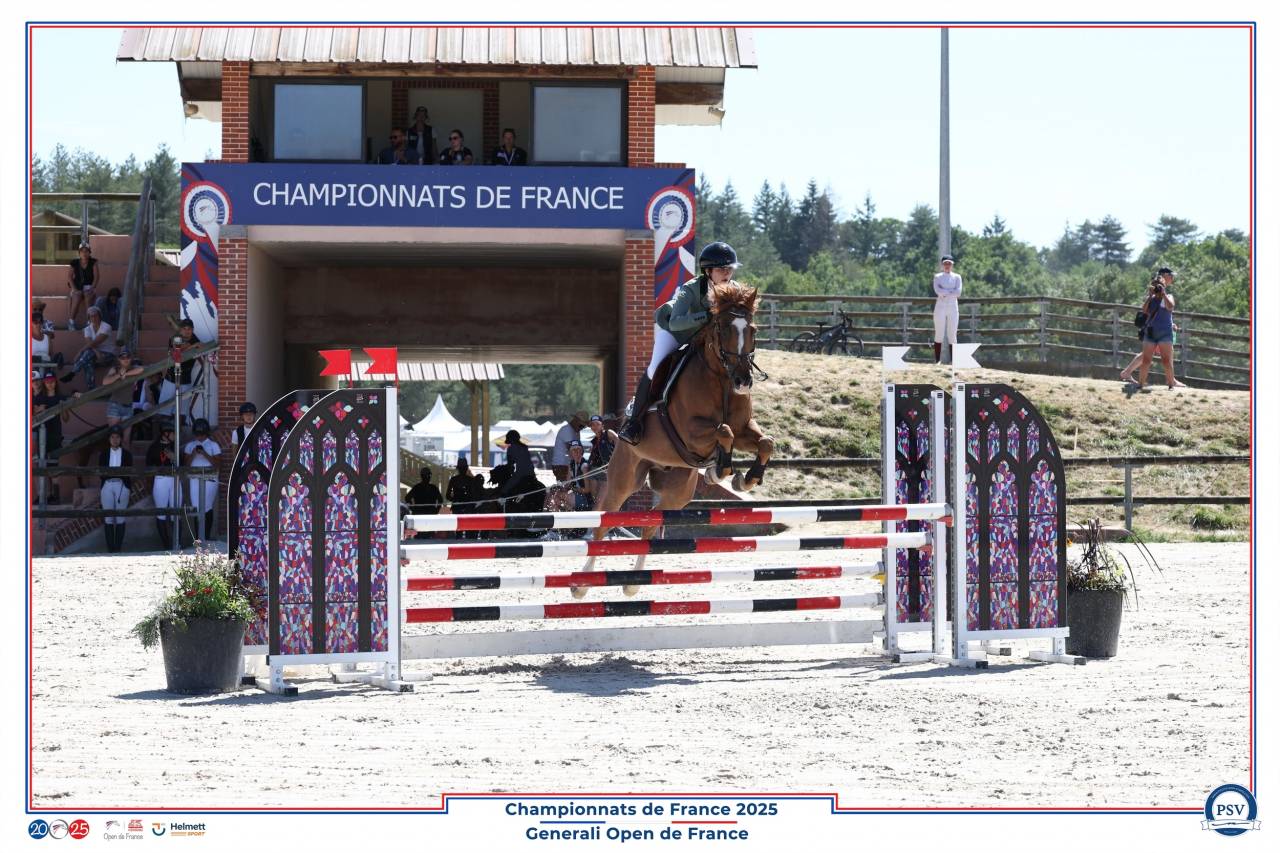 A vendre poney D CSO P Elite 12 ans 