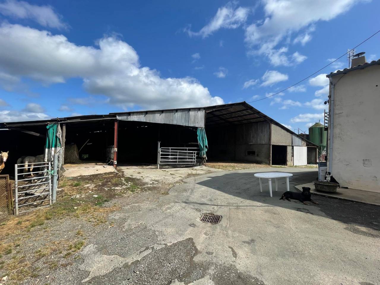 Ferme idéale pour projet équestre sur 36 ha