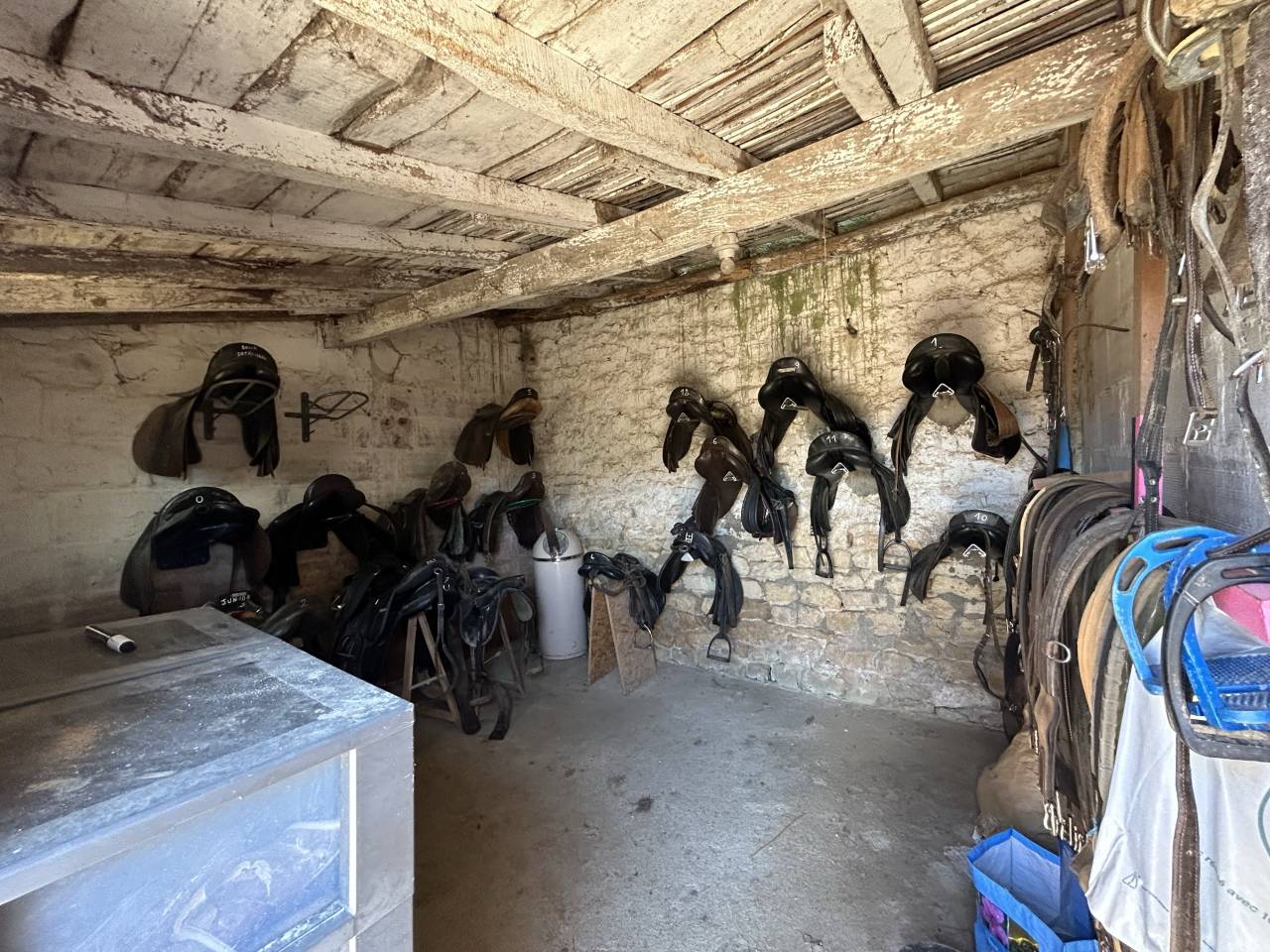 Domaine équestre sur 3 ha