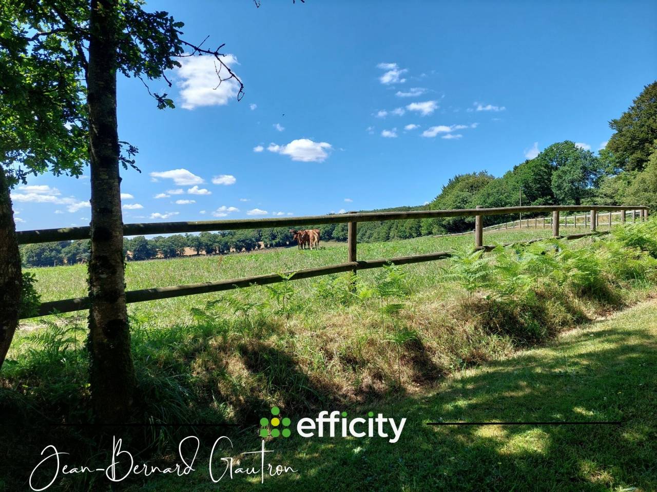 PROPRI&Eacute;T&Eacute; &Eacute;QUESTRE 6 PI&Egrave;CES 4 CHAMBRES 156m&sup2; 29 HA