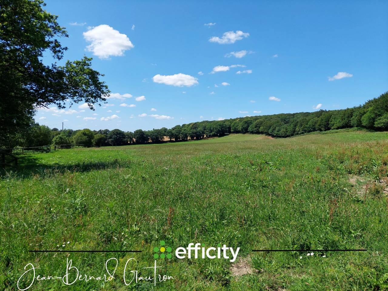 PROPRI&Eacute;T&Eacute; &Eacute;QUESTRE 6 PI&Egrave;CES 4 CHAMBRES 156m&sup2; 29 HA