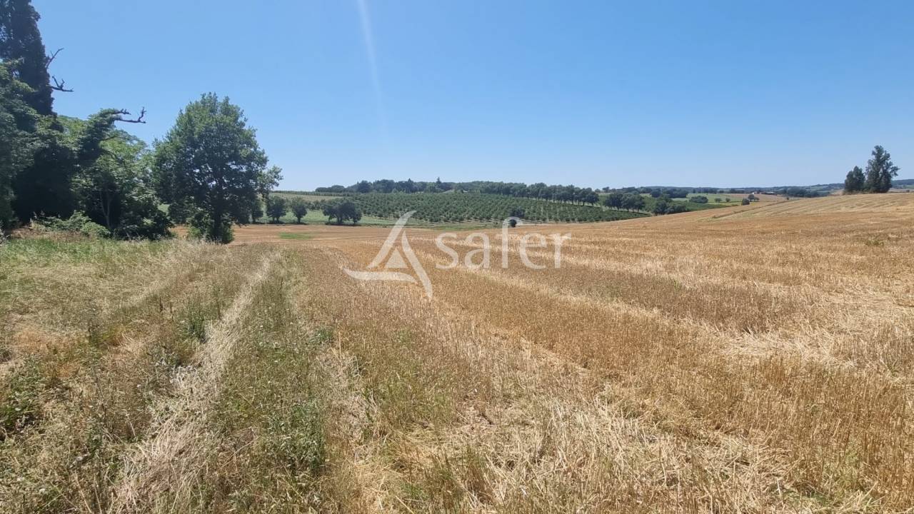 Proche Condom centre - Propriété de 18 ha