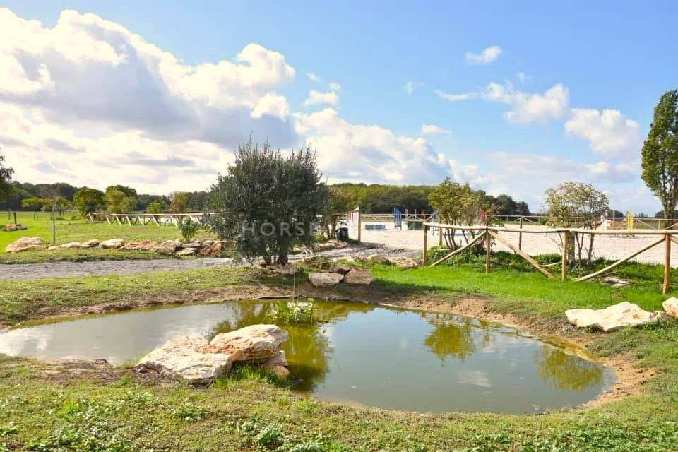 Magnifique Domaine Equestre en Touraine