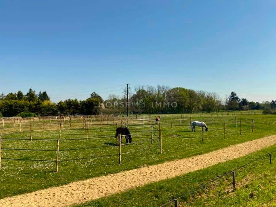 Magnifique Domaine Equestre en Touraine