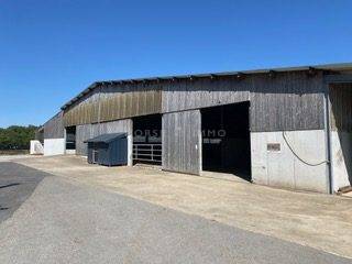 Haras de Reproduction Clé en Main sur 52 ha dans le Morbihan (5