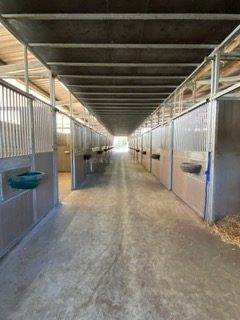 Haras de Reproduction Clé en Main sur 52 ha dans le Morbihan (5