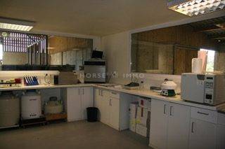 Haras de Reproduction Cl&eacute; en Main sur 52 ha dans le Morbihan (5