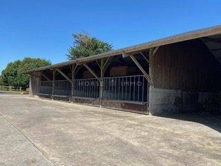 Haras de Reproduction Cl&eacute; en Main sur 52 ha dans le Morbihan (5
