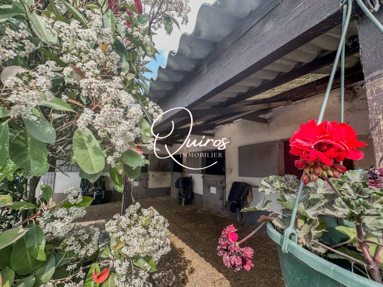 Centre équestre, écurie de propriétaires, organisation de con