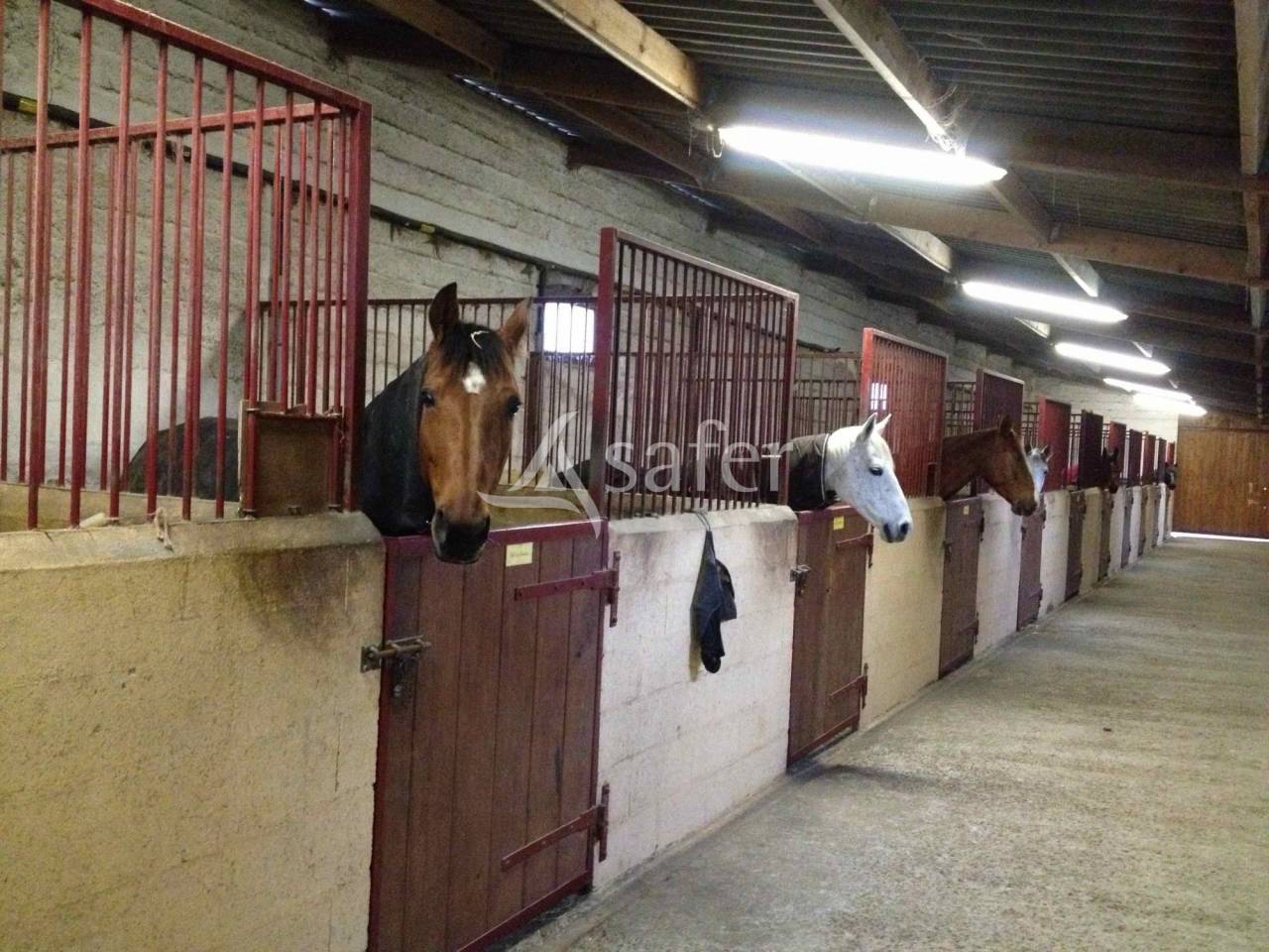 Propriété équestre proche Paris - 9ha