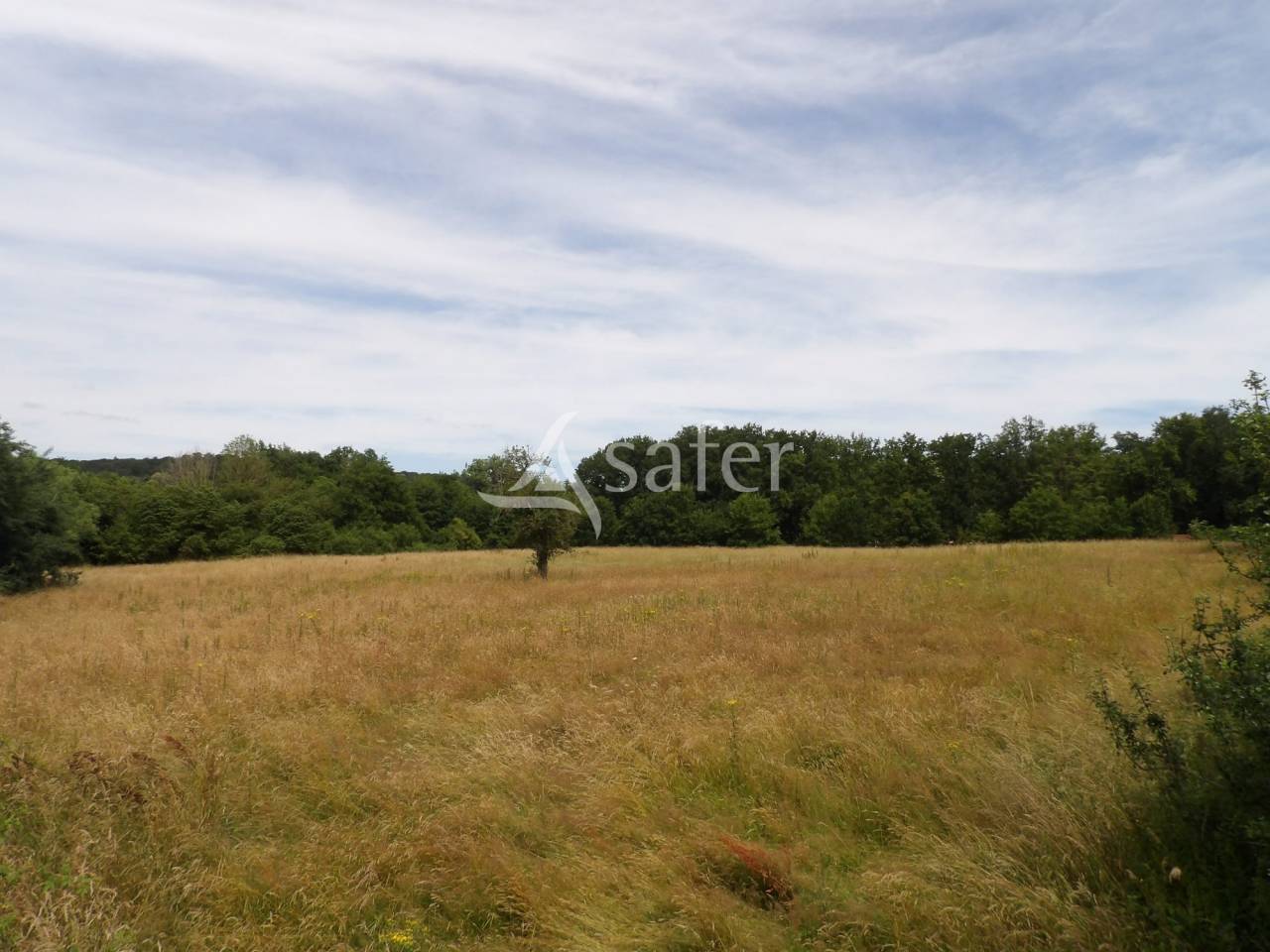 Propriété équestre proche Paris - 9ha