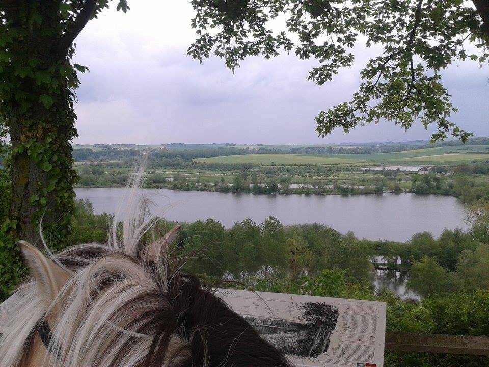 RANDONNEES A CHEVAL dans la Vallée de la SOMME