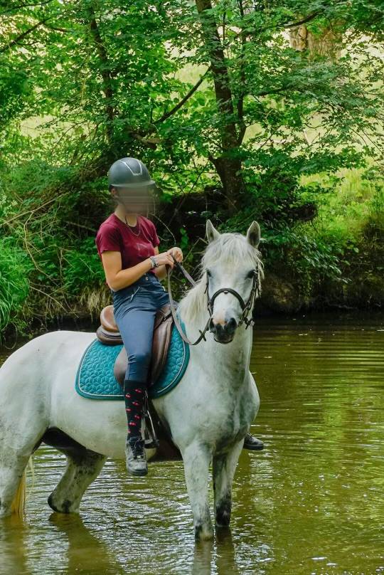 Ponette D Connemara