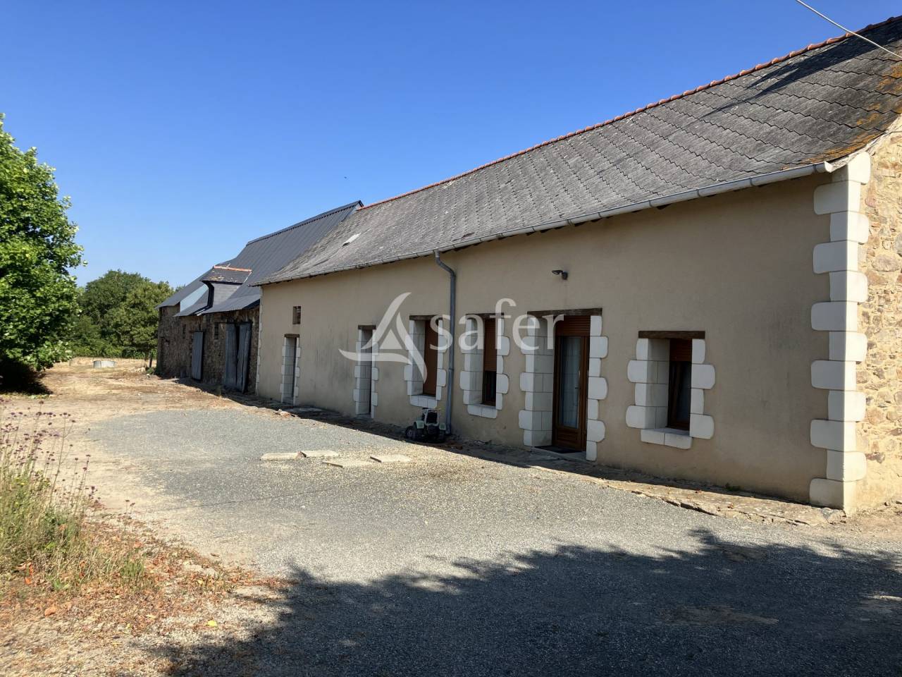 Exploitation agricole de charme aux portes d'Angers - vente de 4