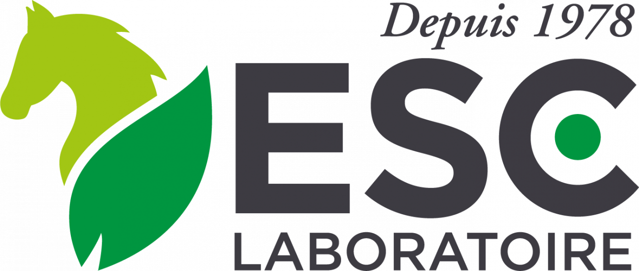 Asistante marketing et commercial