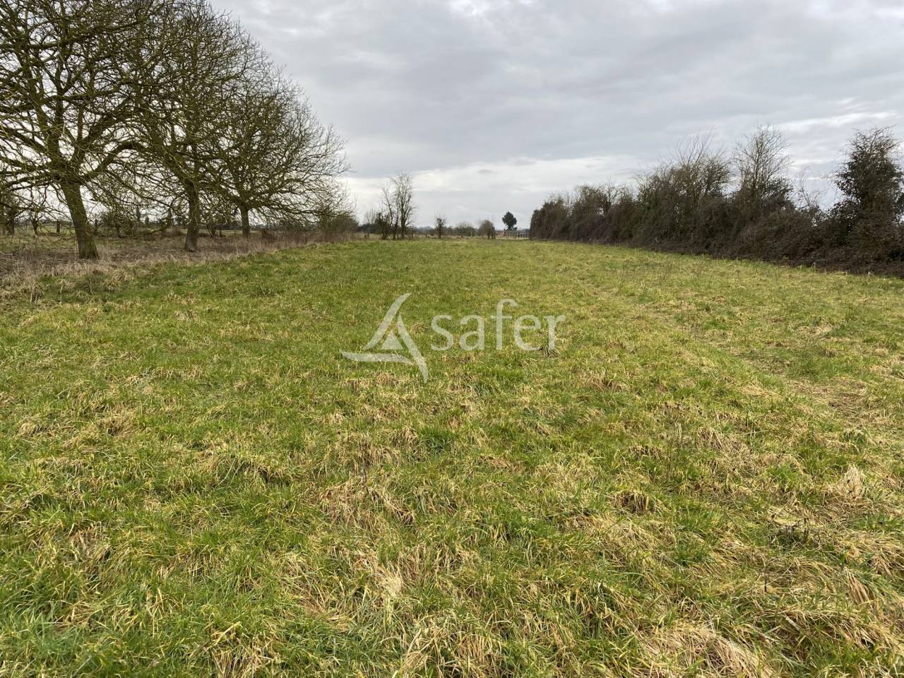 Propri&eacute;t&eacute; &eacute;questre