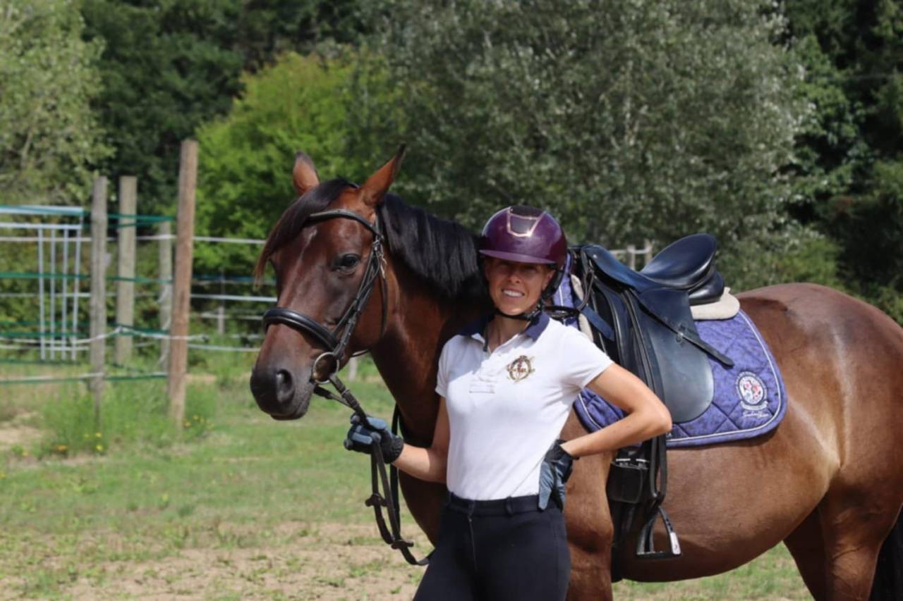 Adorable jument Selle Français de 5 ans