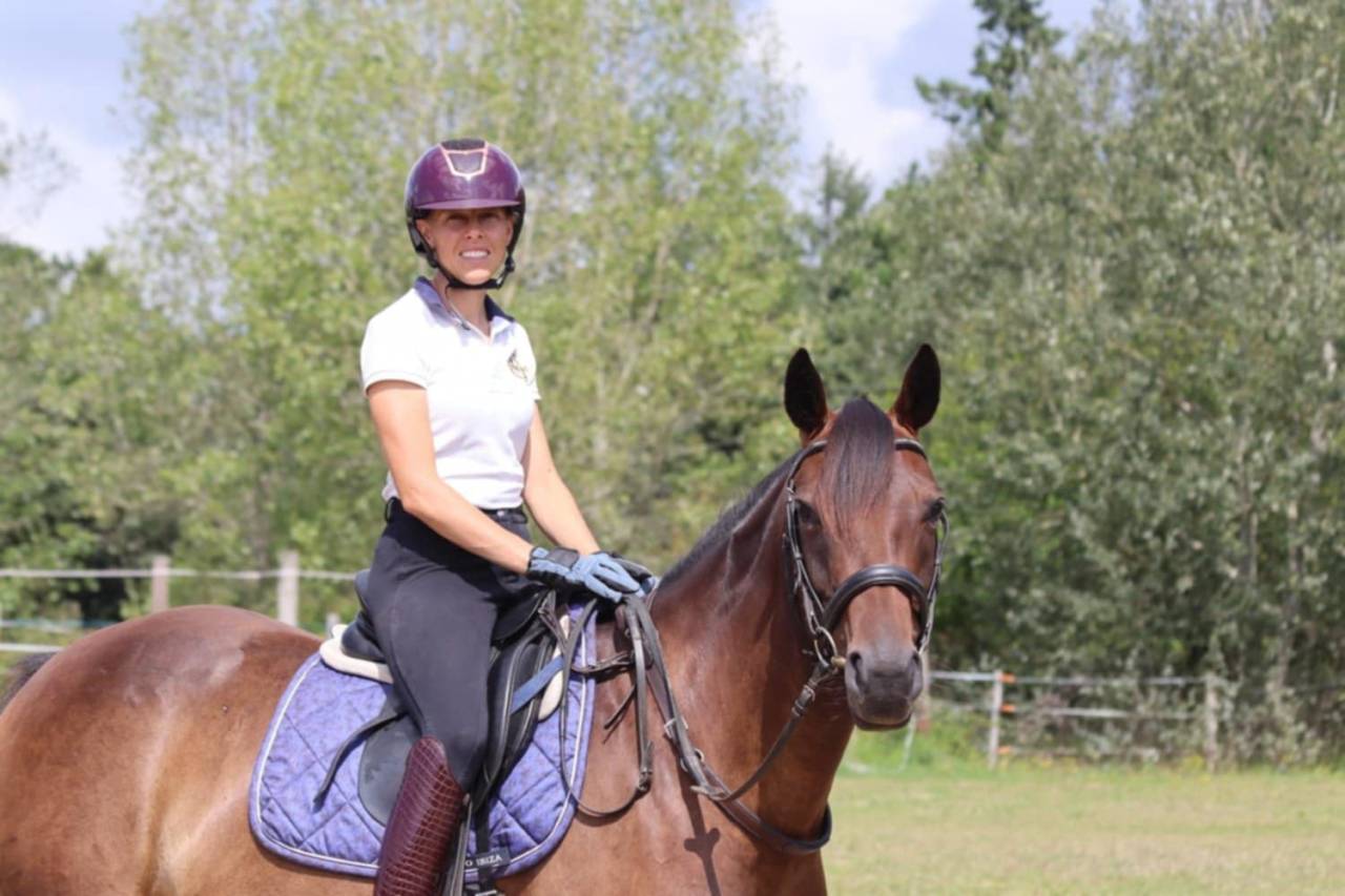 Adorable jument Selle Français de 5 ans