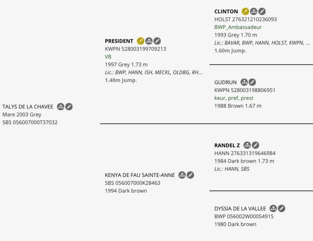 Poulain à réserver 